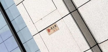 億本新材料 用心打造新時(shí)代高鐵精品智能客站
